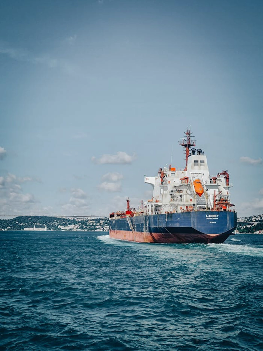 pexels-photo-12557159